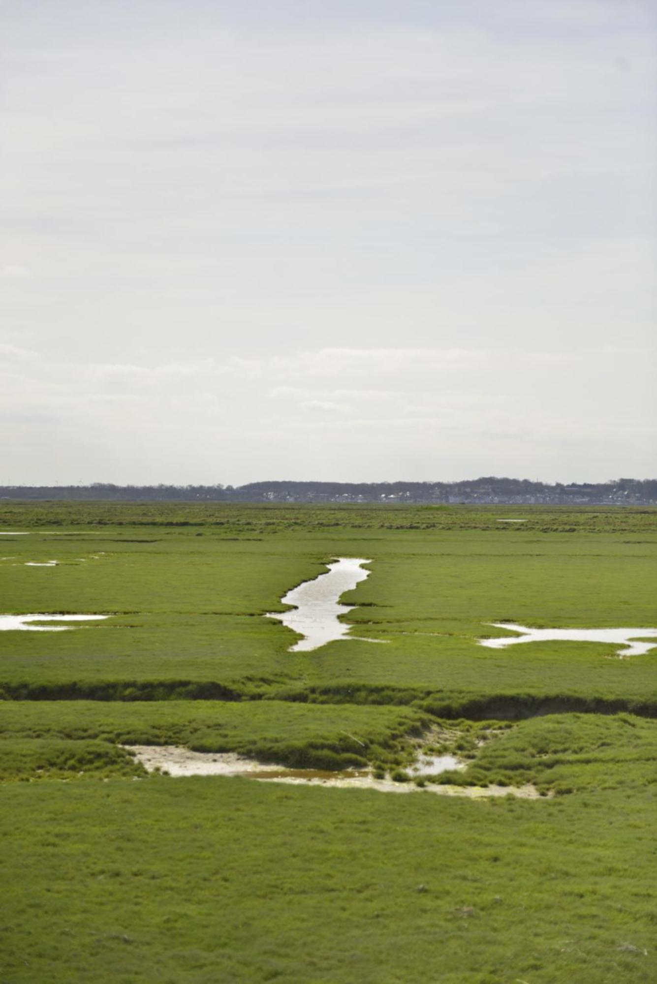 Le Cottage De La Baie - Vue Mer En Baie De Somme Woignarue المظهر الخارجي الصورة