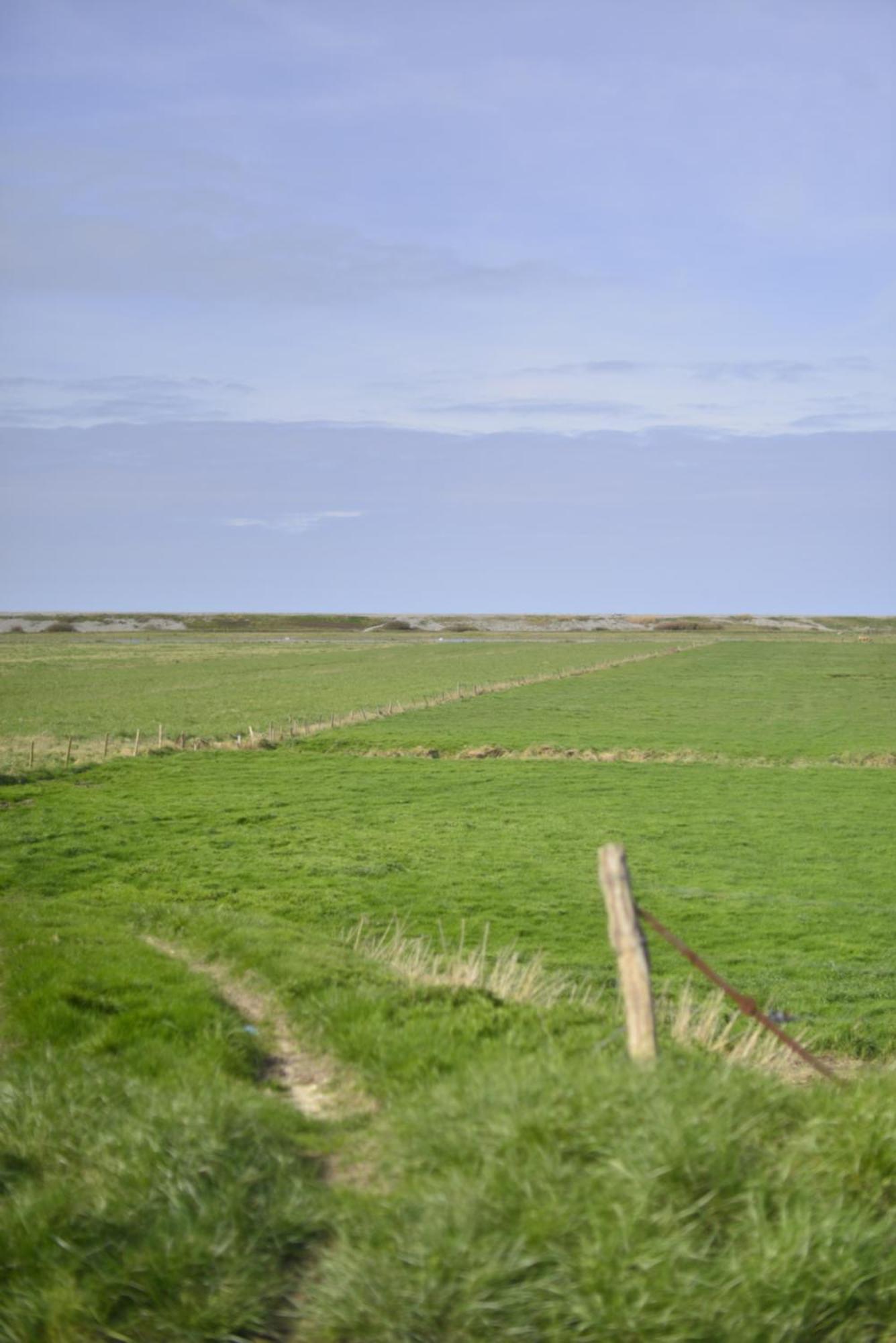 Le Cottage De La Baie - Vue Mer En Baie De Somme Woignarue المظهر الخارجي الصورة